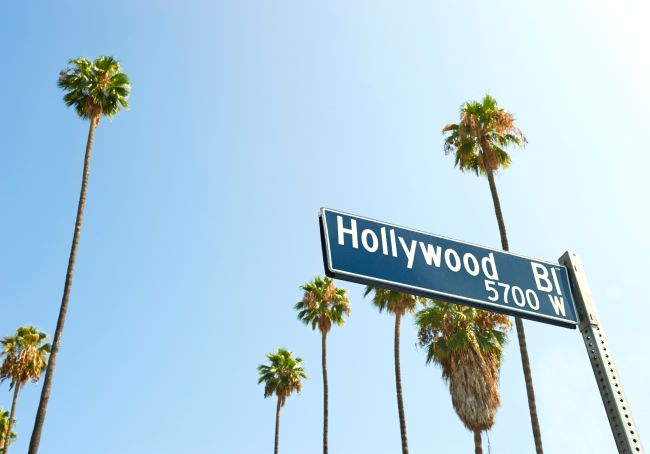 Hollywood Estate Planning Gone Wrong